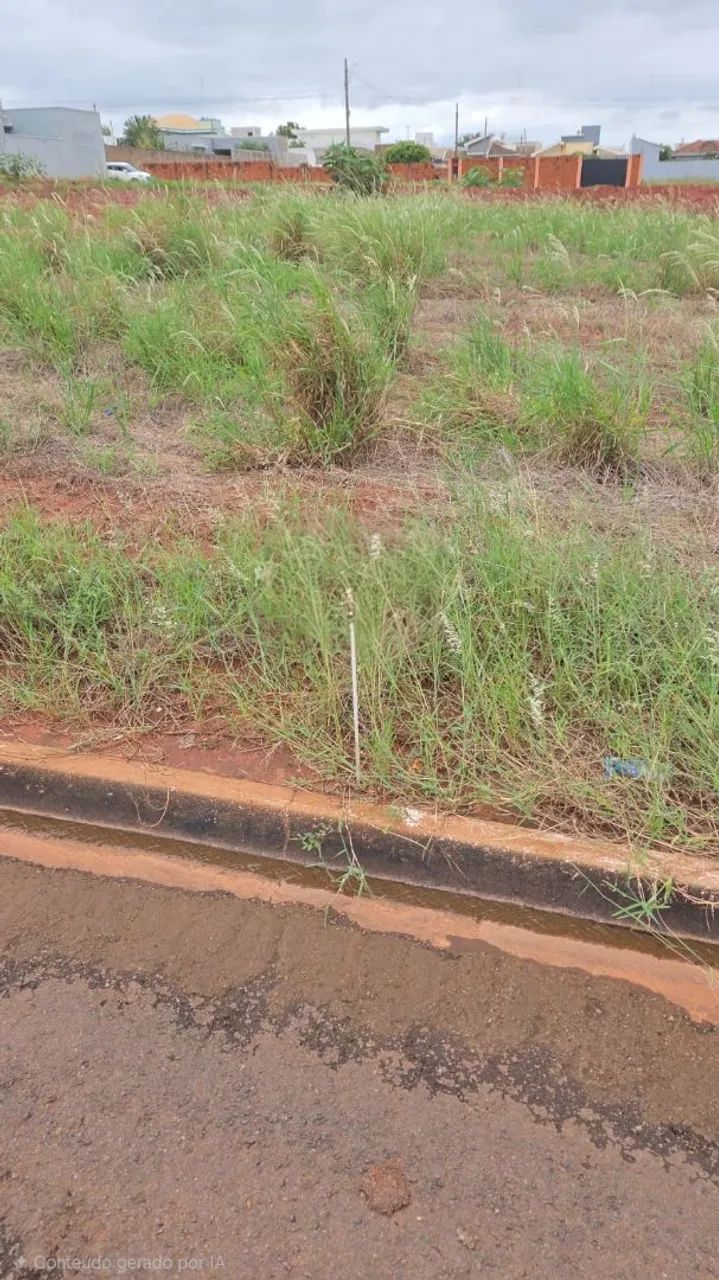 Terreno amplo e bem localizado. Pronto para construir.