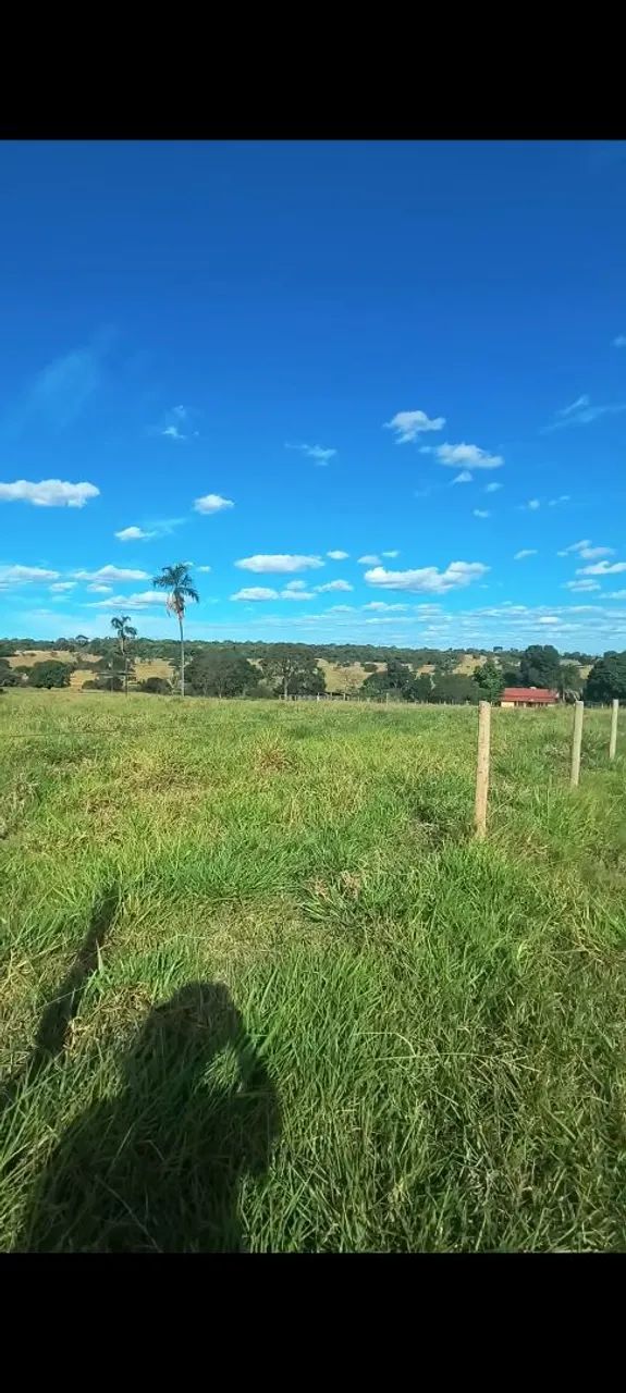 Vendo Chácara 6,5 Alqueires  - Foto 4
