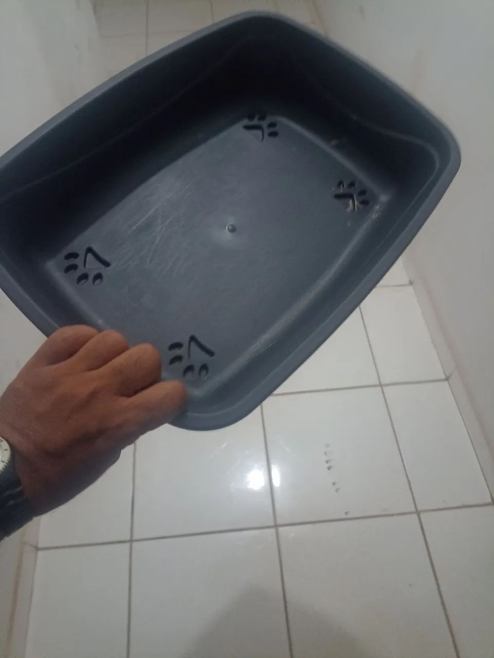 Achei que fazer cocô de gato - Foto 4