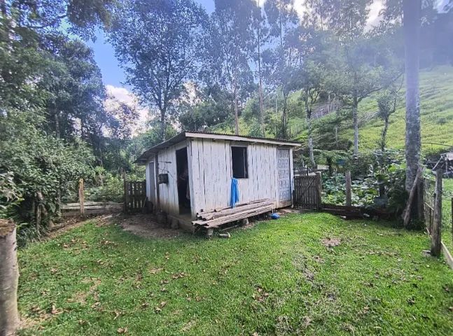 SITIO CINCO IRMÃO EM ITAIACOCA - 11.000m² - Foto 5