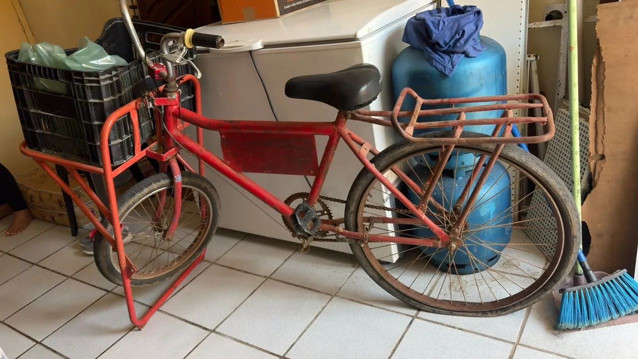 Bicicleta cargueira 