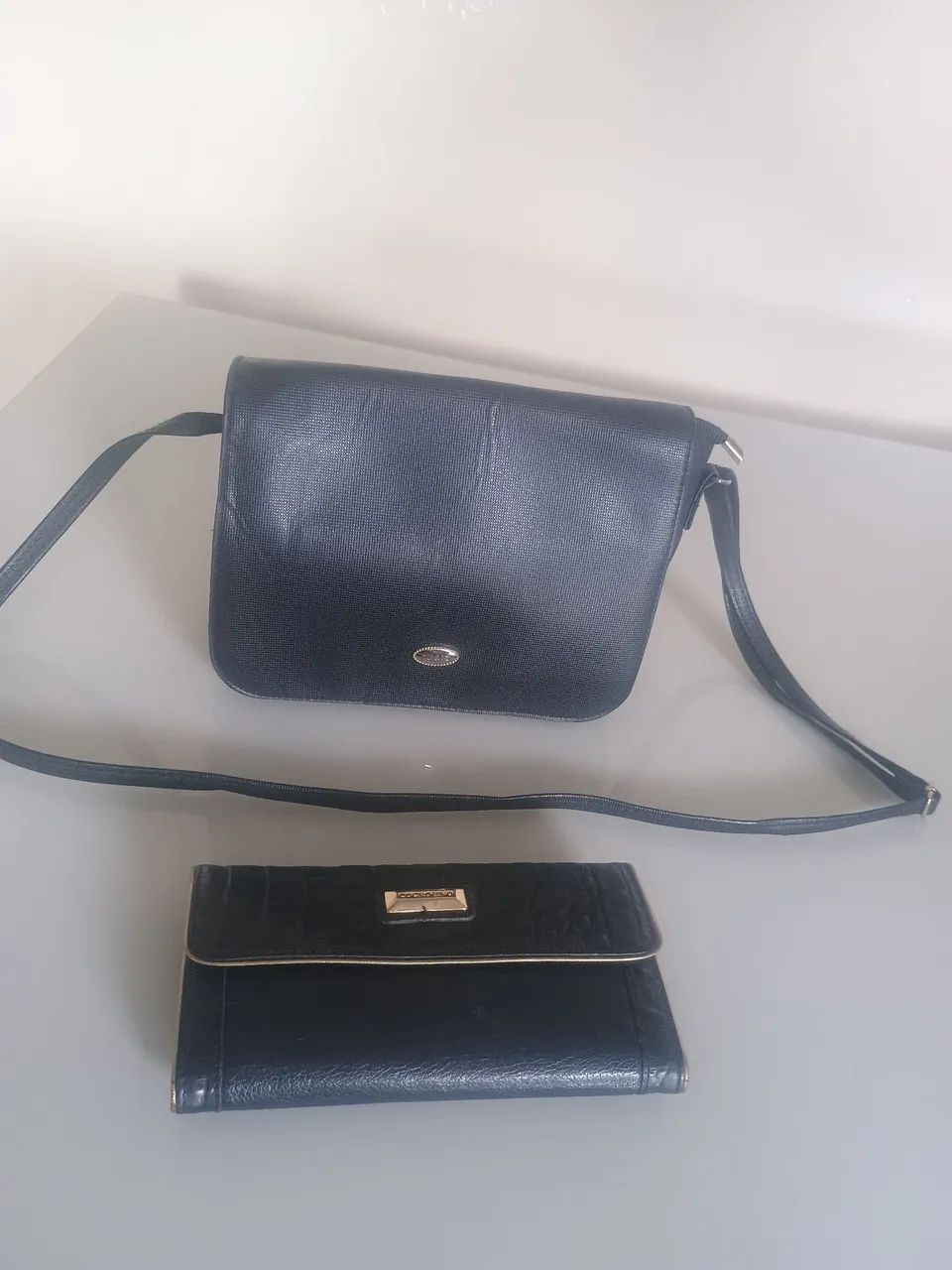 Bolsa e carteira em bom estado 