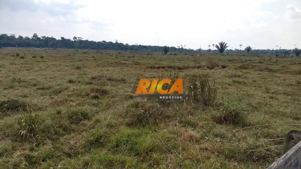 Vende-se fazenda com 4.000 hectares em Canutama/AM - Foto 3