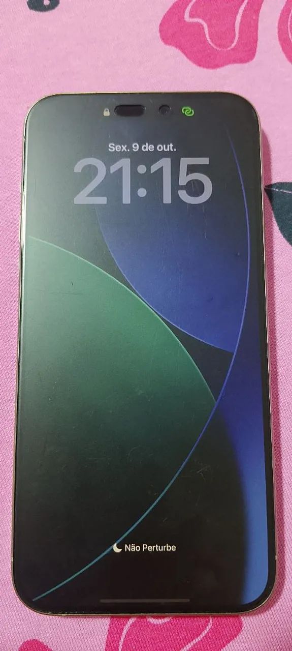 iPhone pro max 256gb