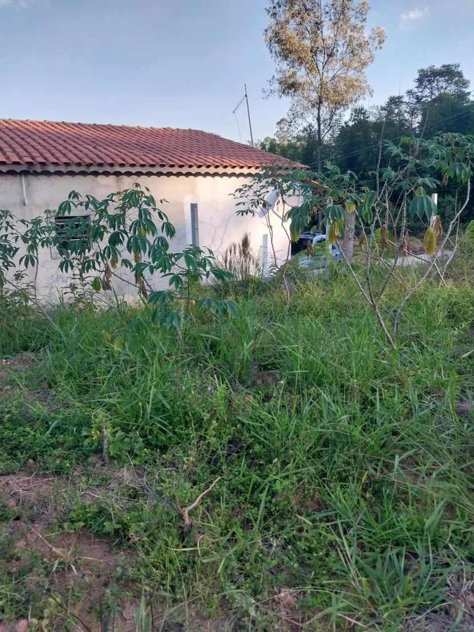 Foto - São Paulo - Jardim Belém