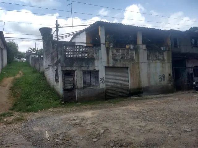 Foto - São Paulo - Jardim Alviverde