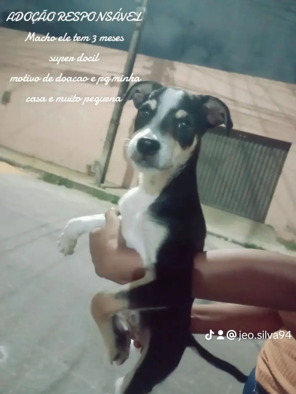 Doação 