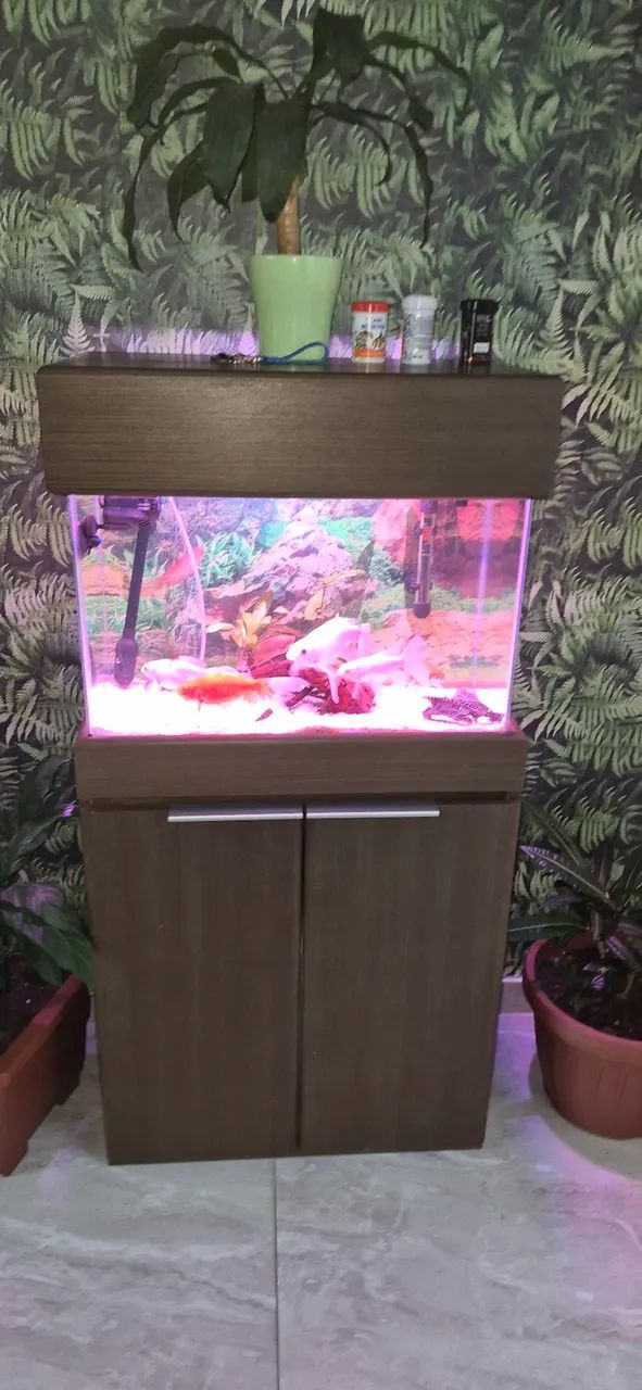 Vendo aquario  - Foto 3