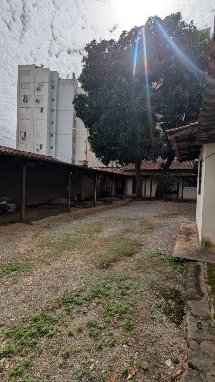 Lote - Setor Pedro Ludovico - Foto 5