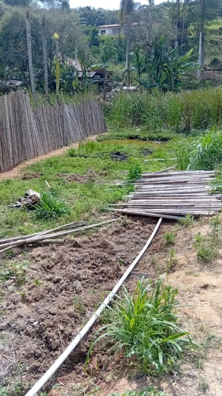 Casa para venda - Foto 2