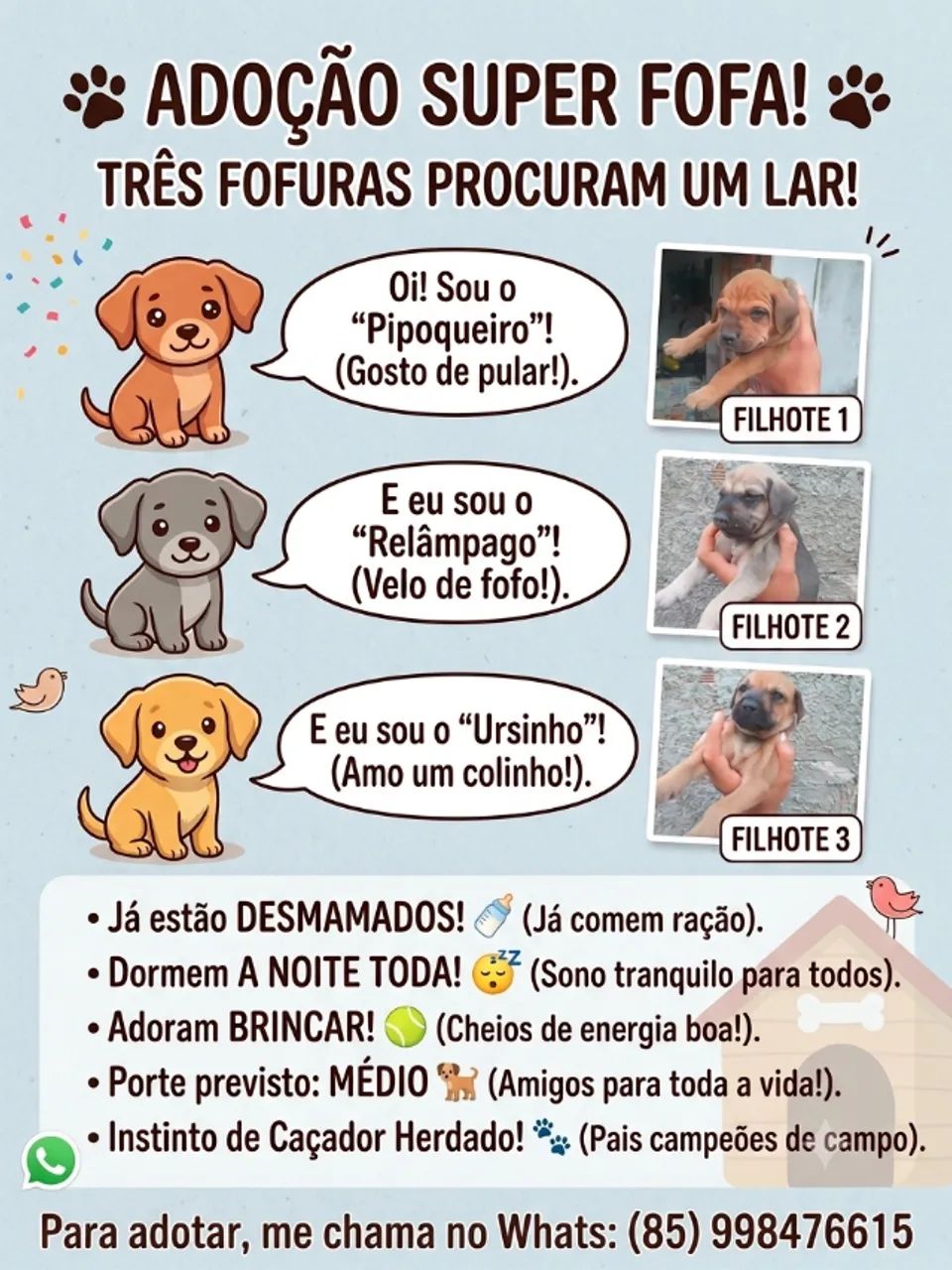 DOAÇÃO
