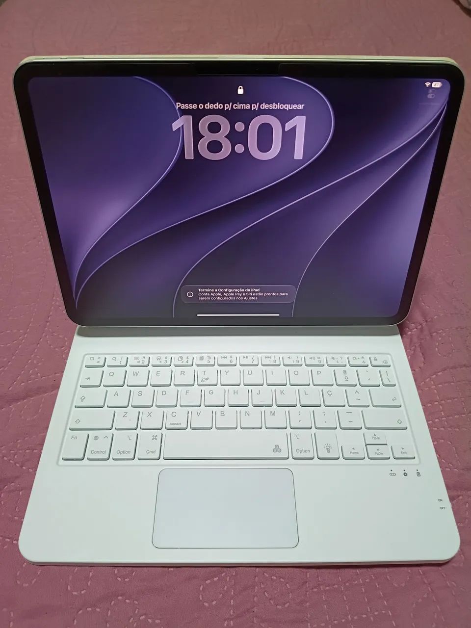 iPad pro 256g