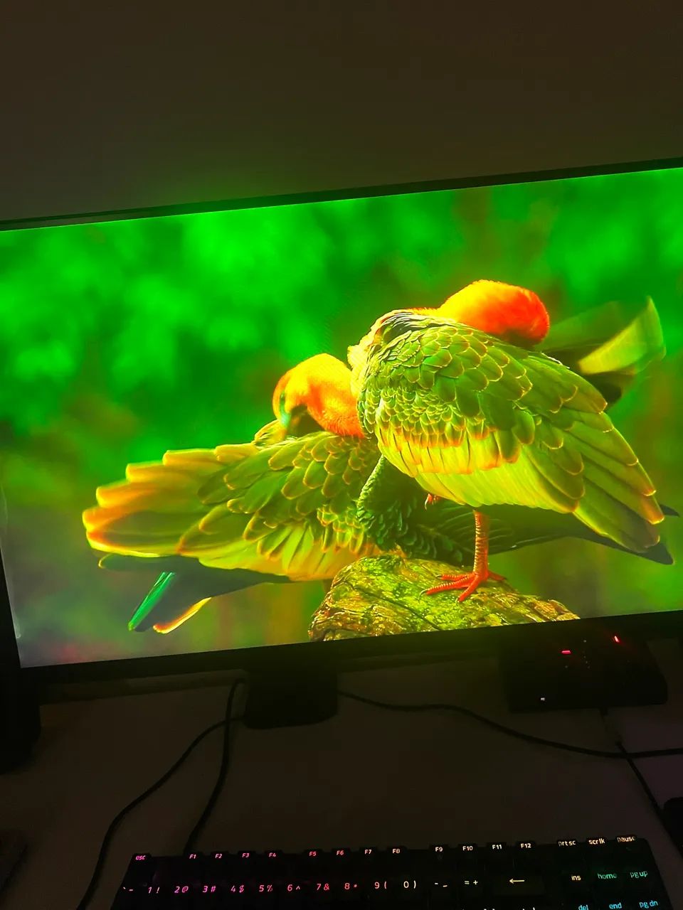 MONITOR DELL ALIENWARE AW2521HF 240HZ ( LEIA A DESCRIÇÃ ) - Foto 4