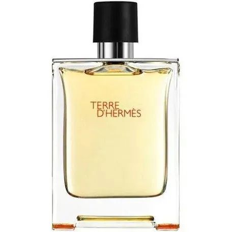 Perfume Terre D Hermes EDT 100mL Tester
