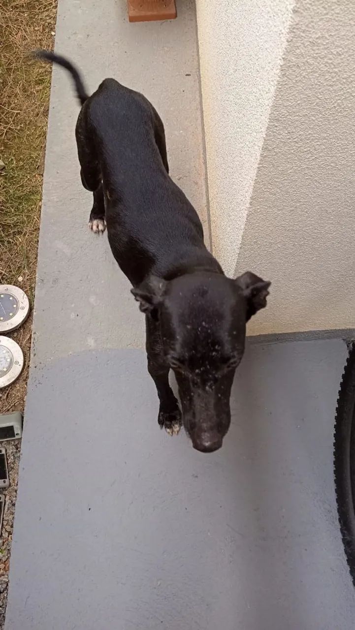 Doação  - Foto 4