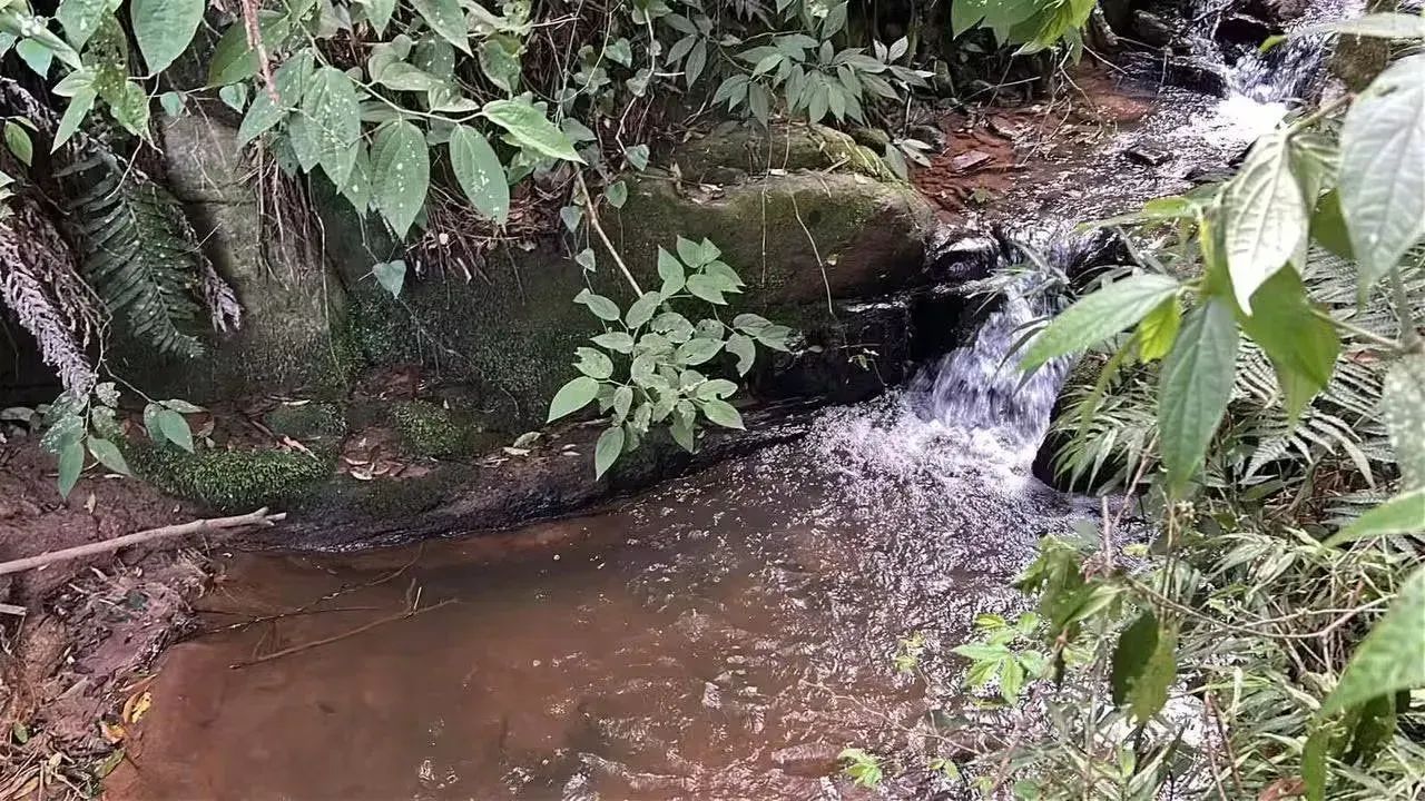 RIACHO DA COLINA - Foto 4