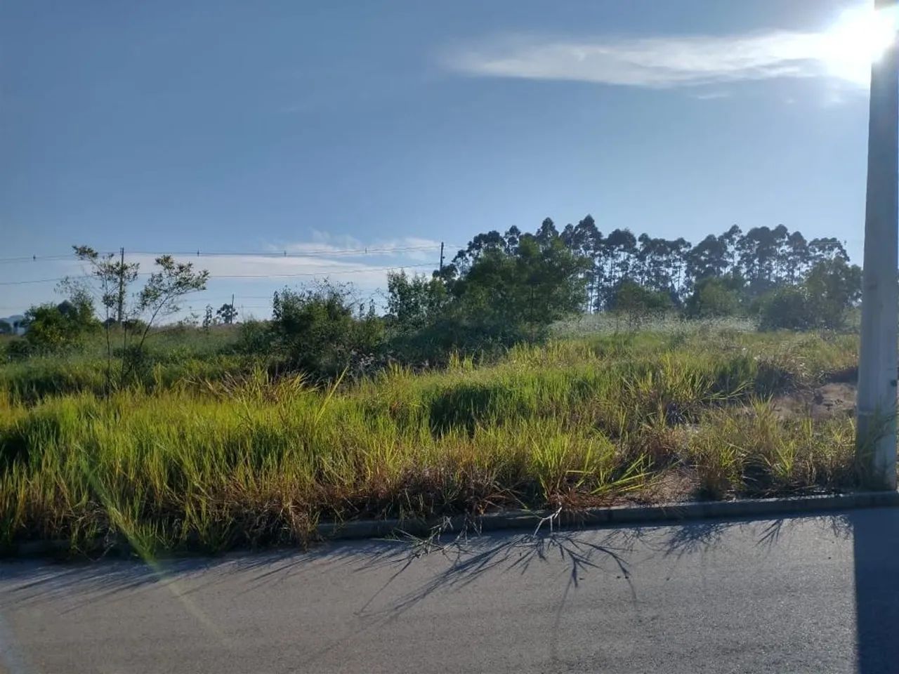 Terreno à venda em Governador Celso Ramos - Foto 3