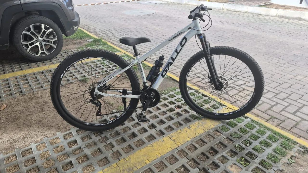 Bicicleta Gallo aro 29 seminova