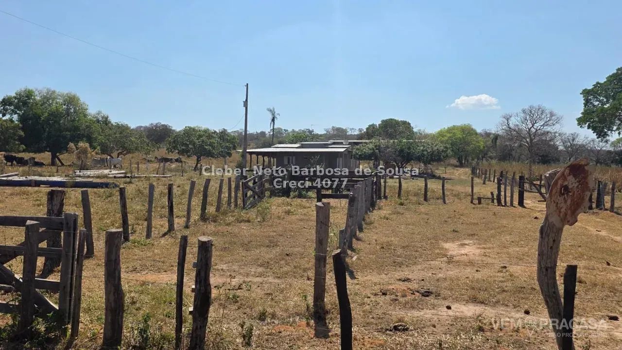 VENDO CHÁCARA DE 100 HECTARES EM AQUIDAUNAI - Foto 4