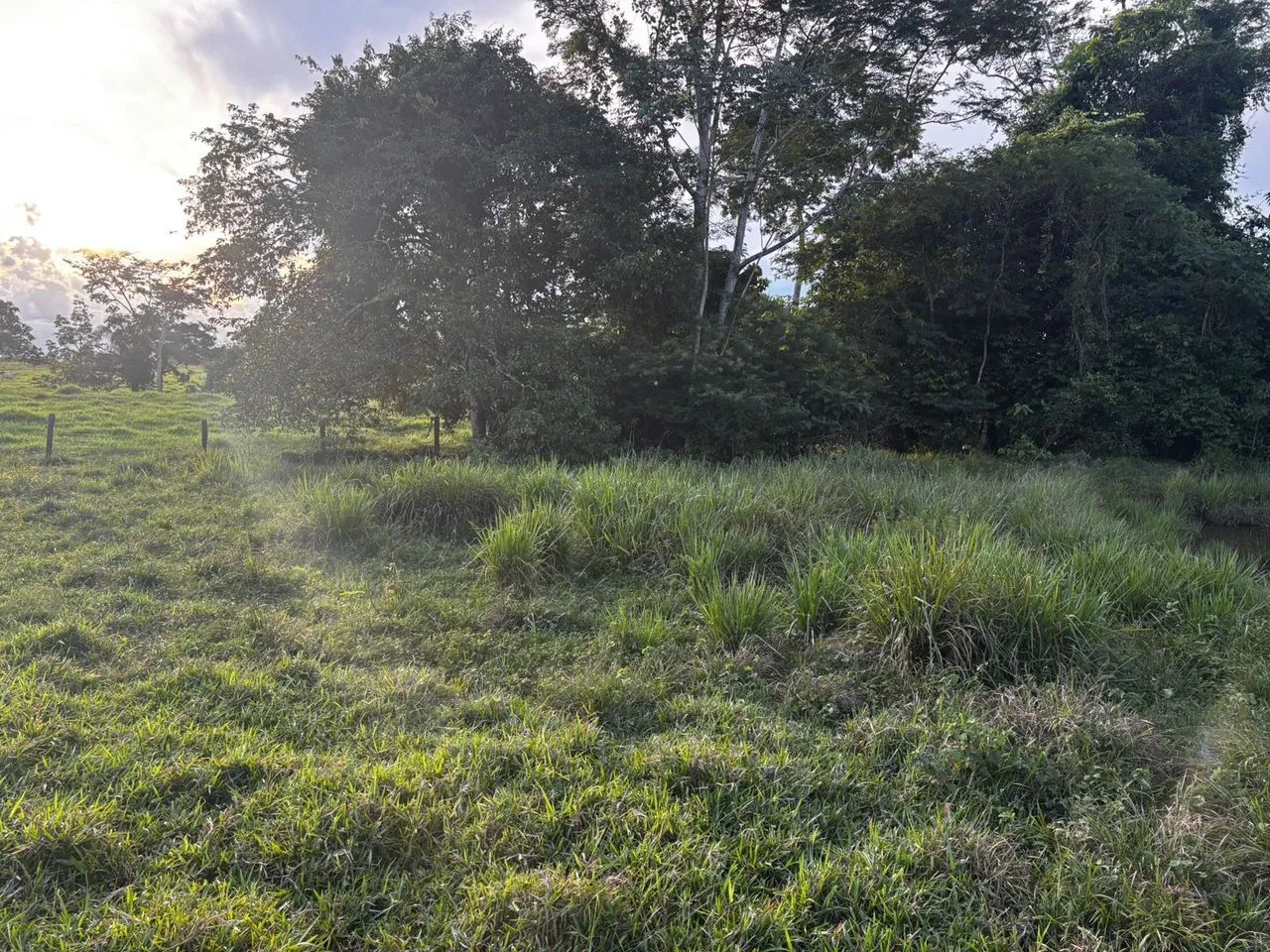Vendo chácara bem localizada! - Foto 3