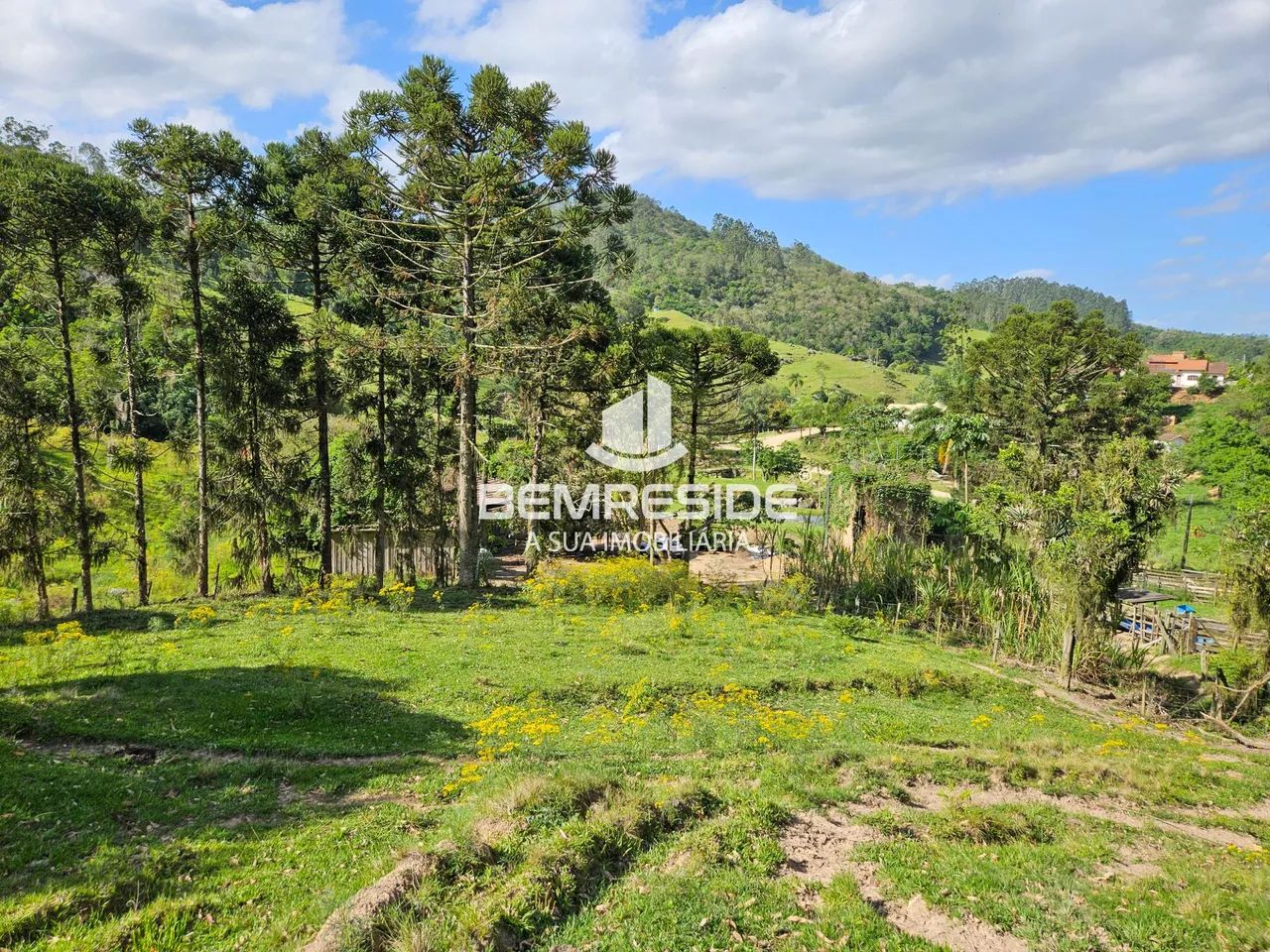 Terreno escriturado com mais de 65 hectares em Pedras Grandes - Foto 4