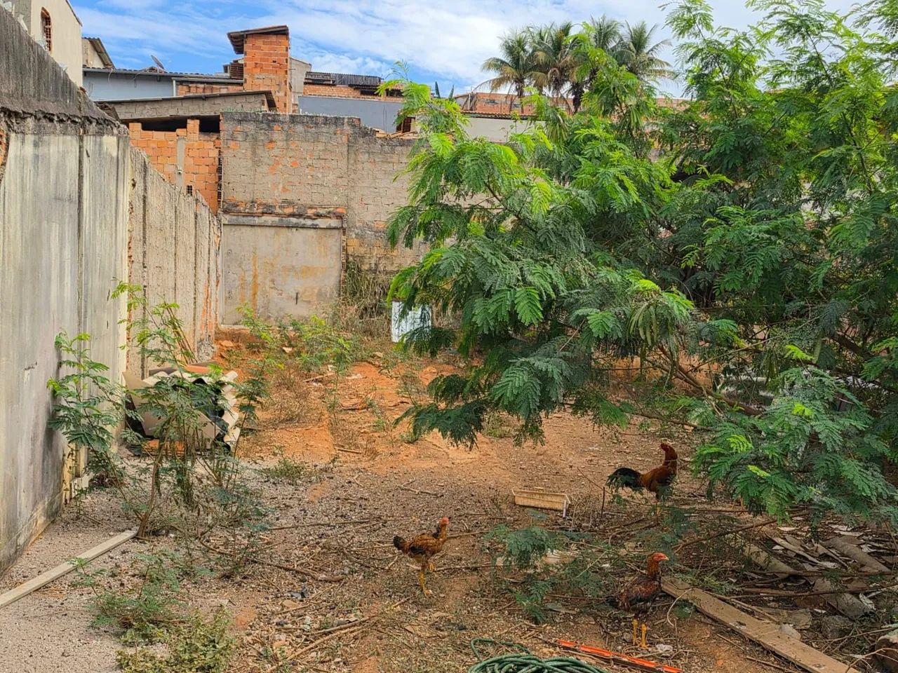 Lote excelente  - Foto 2