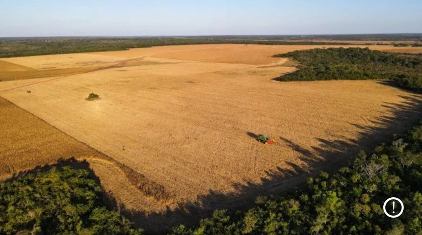 Fazenda de 434 alqueires em Divinópolis - Vale do Araguaia Tocantins - Foto 2