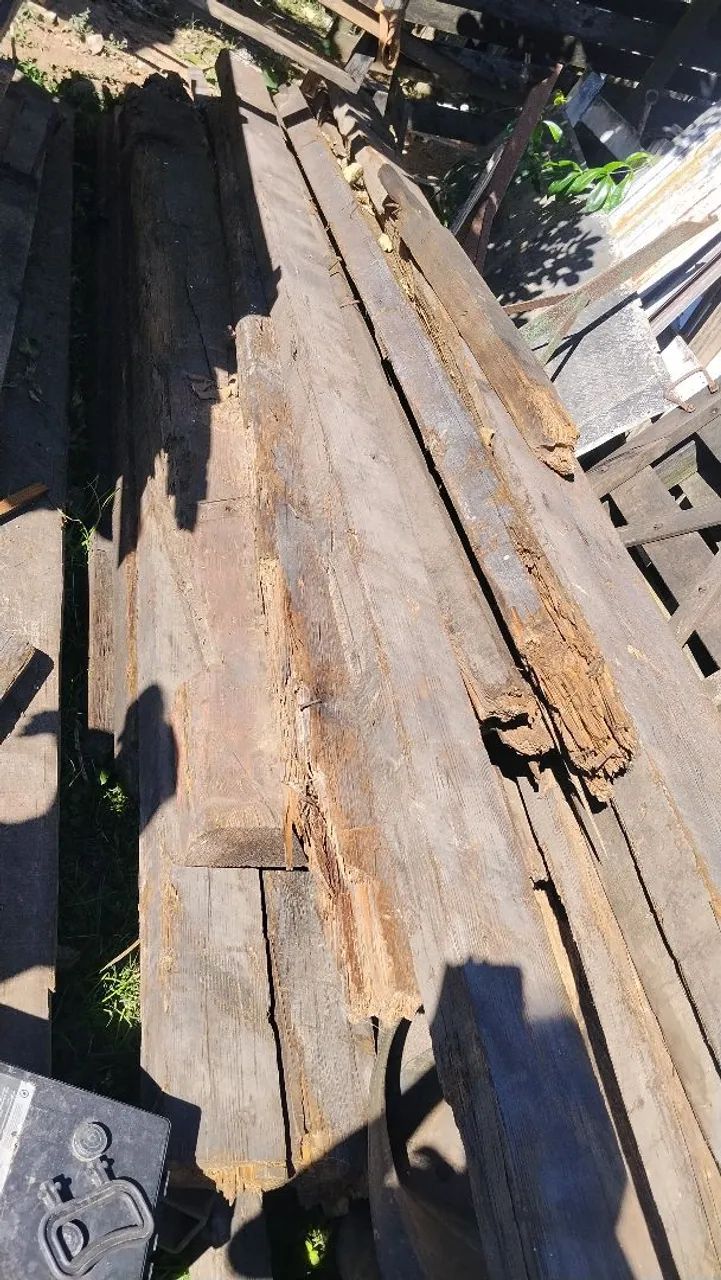 Pinho de Rigas 
