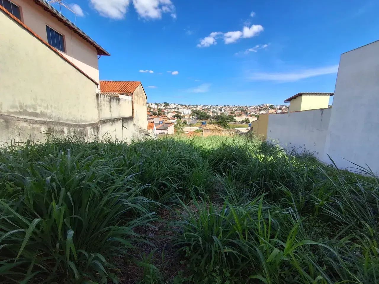 Lote para venda - Foto 5