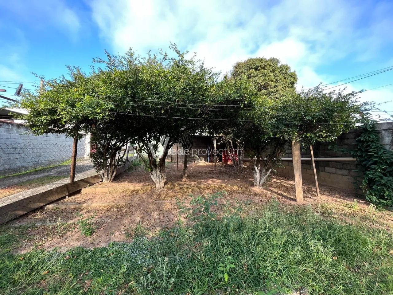 terreno - Nova Campinas - Campinas - Foto 2