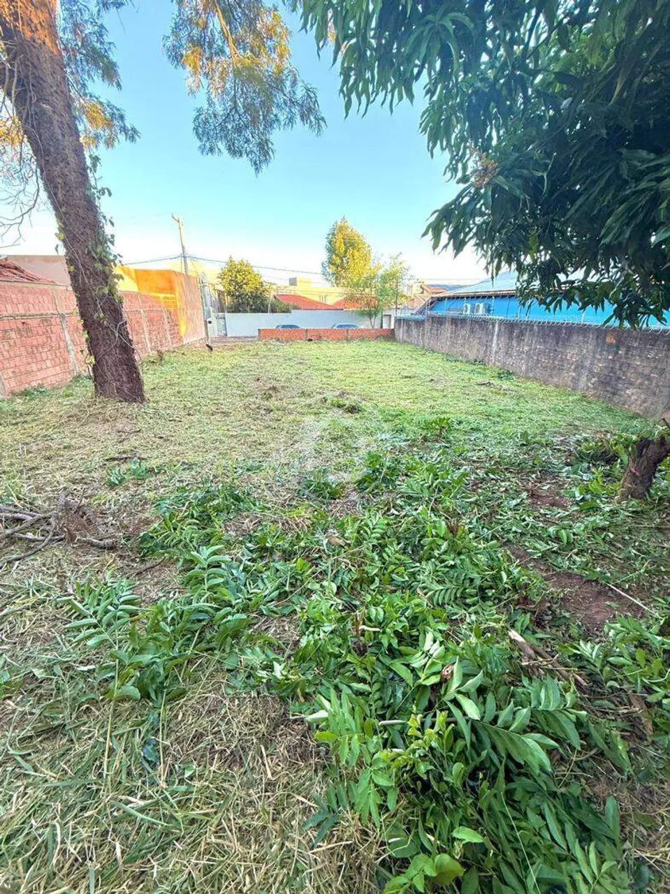 TERRENO TAYAMA PARK - Foto 3