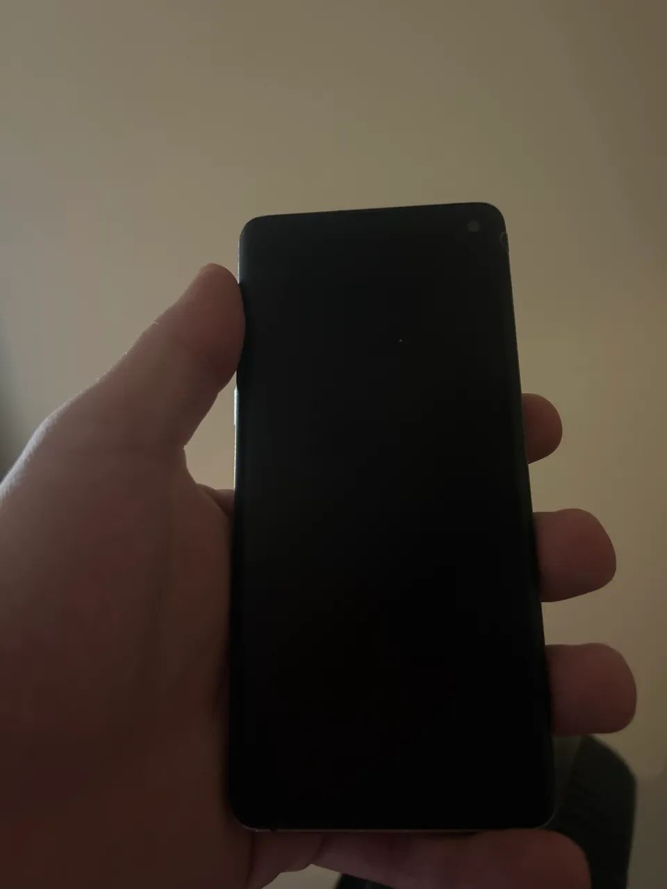 Samsung s10