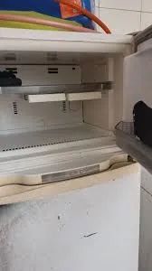 Chega de Baratinhas  - Foto 3