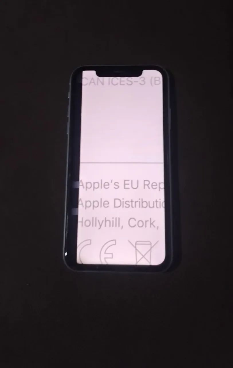 iPhone 11 (Detalhe)