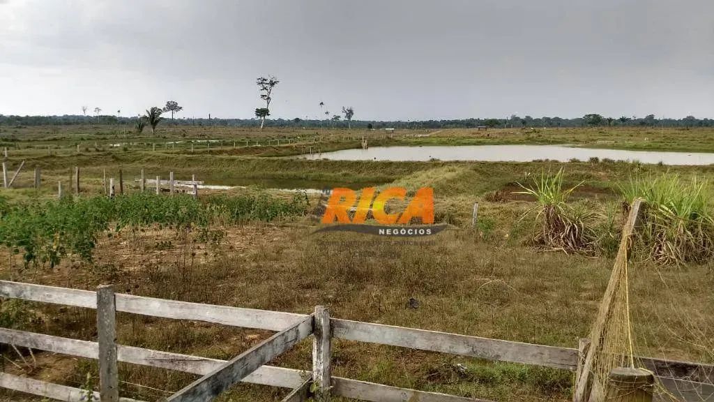 Vende-se fazenda com 4.000 hectares em Canutama/AM - Foto 4