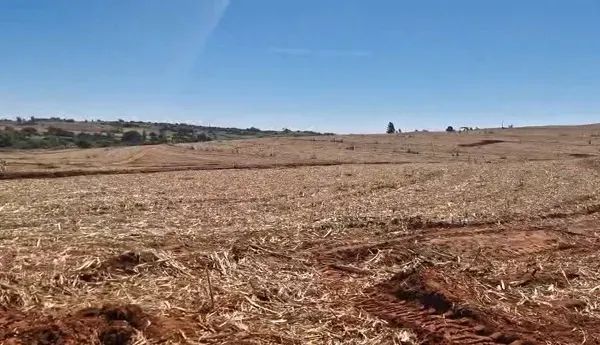 OPORTUNIDADE - TERRA ROXA - 25,80 ALQUEIRES - Foto 5