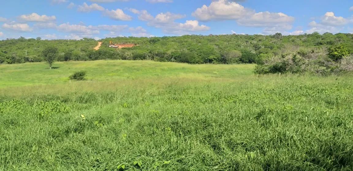Fazenda à Venda - Foto 3
