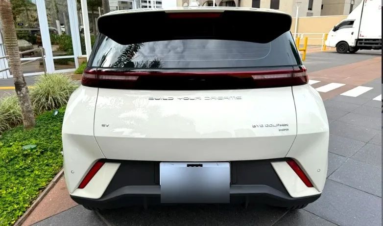 BYD Dolphin Mini GS EV 2025 - Foto 2