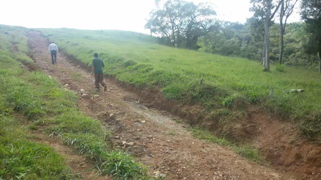 Fazenda pasto formado - Foto 12