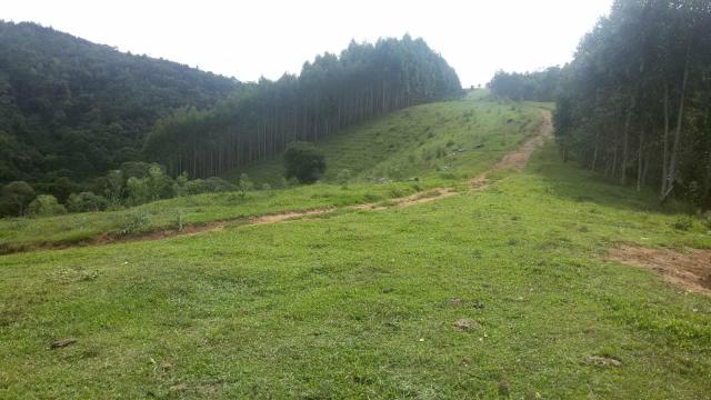 Fazenda pasto formado - Foto 10