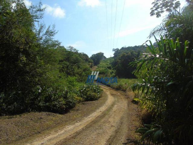 Fazenda antonina - Foto 19