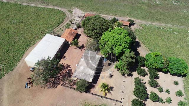 Fazenda para pecuária 185 ha santo antonio leverger - Foto 6