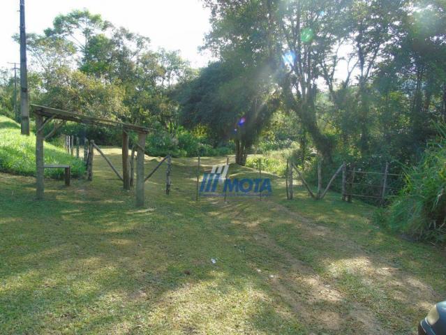 Fazenda antonina - Foto 3