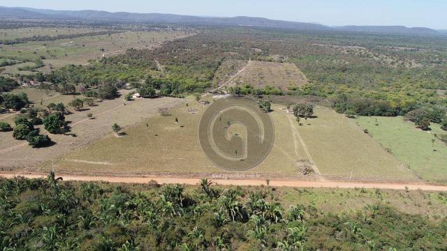 Fazenda para pecuária 650 ha na região santo antonio do leverger - Foto 5