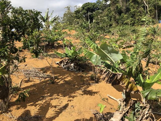 Grande oportunidade em Santa Teresa a 1,5km do asfalto - Foto 11