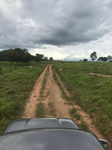 Fazenda 354,hectares - Foto 13