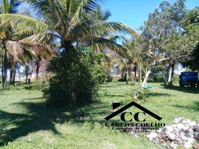 S-Loteamento Localizado a 500m da Rodovia Amaral Peixoto em Unamar - Tamoios - Cabo Frio! - Foto 8
