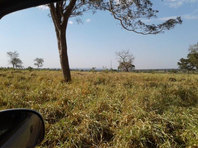 Fazenda 160 alqueires ( 774,4 hectares ) Pontal do Araguaia-MT \ Barra do Garça - Foto 2