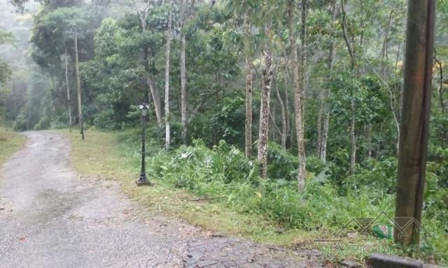 Terreno à venda em Quarteirão ingelhein, Petrópolis cod:1612 - Foto 10