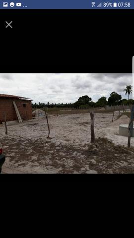 Bem localizado - Foto 3
